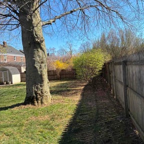 Bush Trimming by Green T's Lawn &amp; Landscape reviewed on April 10, 2026