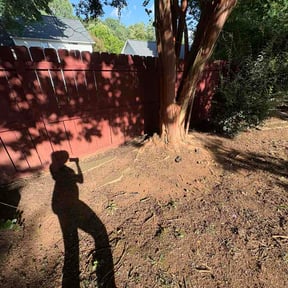 Flower Bed Weeding by Lmb services reviewed on August 16, 2026