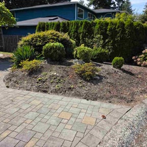 Bush Trimming by A Plus Lawn care reviewed on July 5, 2023