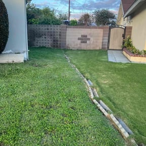 Bush Trimming by Florida Landscape and Mowing reviewed on August 19, 2025