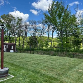 yard care by Torres Landscaping reviewed on August 16, 2025