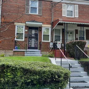 Bush Trimming by Peter Razo reviewed on November 18, 2025