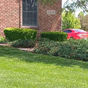 landscaping services by Cornerstone Properties and Rentals reviewed on August 15, 2025