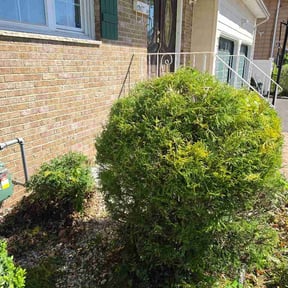 Leaf Removal by Lucky Lawns reviewed on May 21, 2026