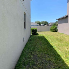 Bush Trimming by Rene's Lawn and Maintenance Service reviewed on August 17, 2025