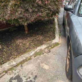 Flower Bed Weeding by Mejia landscaping reviewed on July 23, 2026