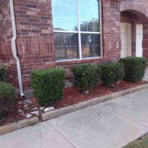 Bush Trimming by JCC Lawn & Landscape reviewed on August 16, 2025
