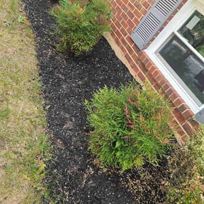Flower Bed Weeding by Kador Lawn Care and Handy man services reviewed on June 18, 2026