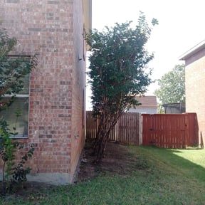 Bush Trimming by AG lawn service reviewed on August 13, 2025