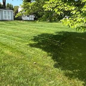 gardening service by Bb Cutts reviewed on April 17, 2024