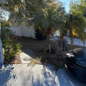 Bush Trimming by Happy Face Landscaping reviewed on February 8, 2026