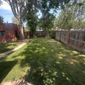 yard care by Excellence Landscape LLC  d d reviewed on August 16, 2025