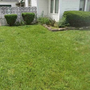 Flower Bed Weeding by New Earth Landscaping (NELS) reviewed on June 12, 2026