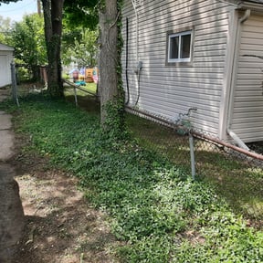 Bush Trimming by Brooks Blade Service reviewed on August 20, 2025