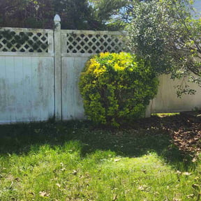 Bush Trimming by Ellis and sons landscaping and lawncare reviewed on April 18, 2026