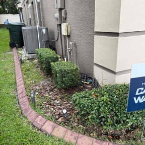 Bush Trimming by Blessed Lawn Care Services & Odd Jobs reviewed on August 21, 2025