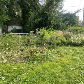 Bush Trimming by Integrity Lawn Care LLC reviewed on August 15, 2025