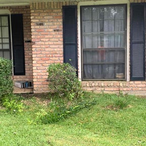 Bush Trimming by Cortez Landscaping reviewed on June 5, 2025