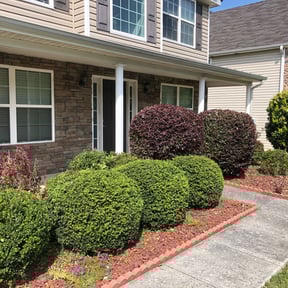 Bush Trimming by In a Flash Lawn Service reviewed on August 17, 2025