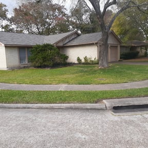 Leaf Removal by Zeroslandscape reviewed on October 2, 2025