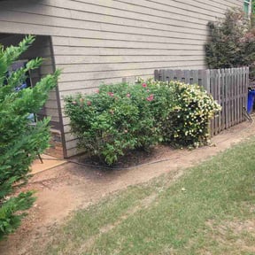 Bush Trimming by Yardly lawn care reviewed on July 13, 2026
