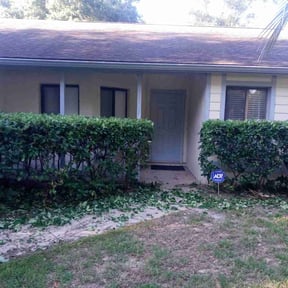 Bush Trimming by Mavericks Lawncare reviewed on August 19, 2025