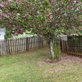 Leaf Removal by Gios Multitask Lawn &amp; Landscaping Services LLC reviewed on September 6, 2025