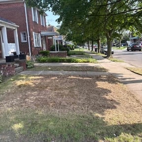 Leaf Removal by Trust Us Lawn Service reviewed on September 28, 2025