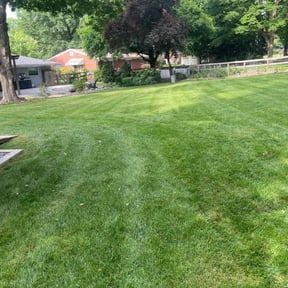 gardening service by KG Grounds reviewed on November 20, 2025