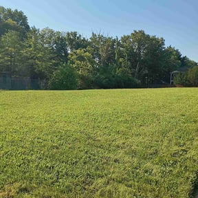 landscaping by Livery Services LTD, llc reviewed on November 26, 2025