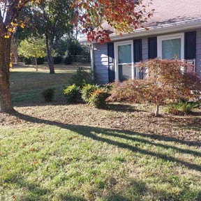 Flower Bed Weeding by Caver Lawn Care reviewed on November 26, 2025