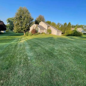 residential landscaping by Hector's reviewed on August 16, 2025