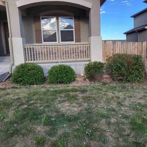 Bush Trimming by Sunshine Quality Cuts reviewed on October 20, 2025