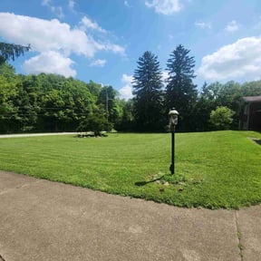 yard maintenance by Diamond in the Rough lawn care reviewed on August 15, 2025