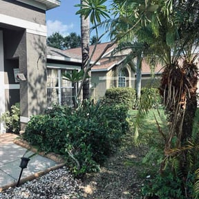 Bush Trimming by Freedom Lawn Care reviewed on October 20, 2025