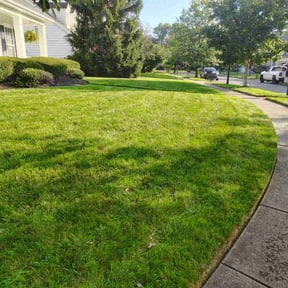 yard maintenance by Quality lawn care reviewed on August 20, 2025