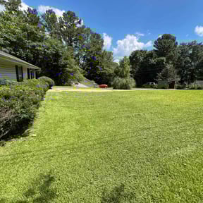 landscaping by Mark Redden reviewed on November 25, 2025