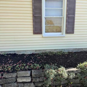 Flower Bed Weeding by Twisted Roots LLC reviewed on August 6, 2025