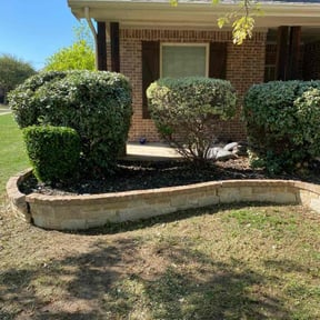 Bush Trimming by Mora Brothers Tree and Landscaping reviewed on August 18, 2025