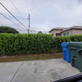 Bush Trimming by Let Us Mow reviewed on August 16, 2025