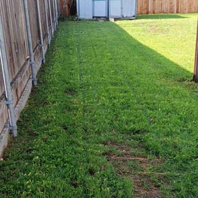 turf maintenance by AFNF Services reviewed on April 27, 2024