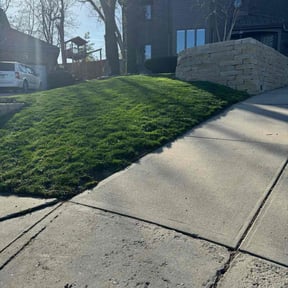 landscaping by Jay's lawn and landscaping reviewed on August 14, 2025