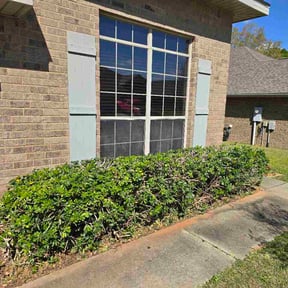 Bush Trimming by Jordan's Lawn Service reviewed on March 23, 2026