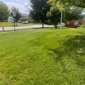 landscaping by Verde Lawn and Property Management reviewed on August 17, 2025