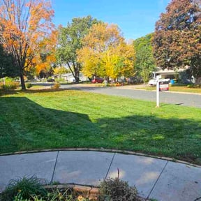 Leaf Removal by Lawn and Labor Services reviewed on October 19, 2025