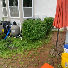 Bush Trimming by KA Unlimited reviewed on August 14, 2025