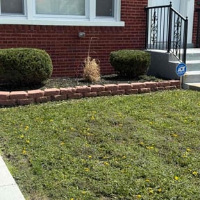 Bush Trimming by Extreme Green Lawn Pros LLC reviewed on August 16, 2025