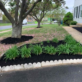 Mulching by Alfaro’s Lawncare reviewed on August 16, 2025