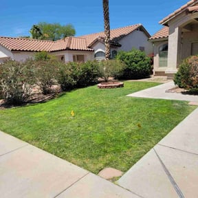 yard work by Bernal landscaping reviewed on August 21, 2025