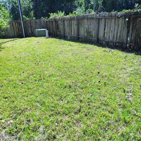 Bush Trimming by CCs lawn service LLC reviewed on November 22, 2025